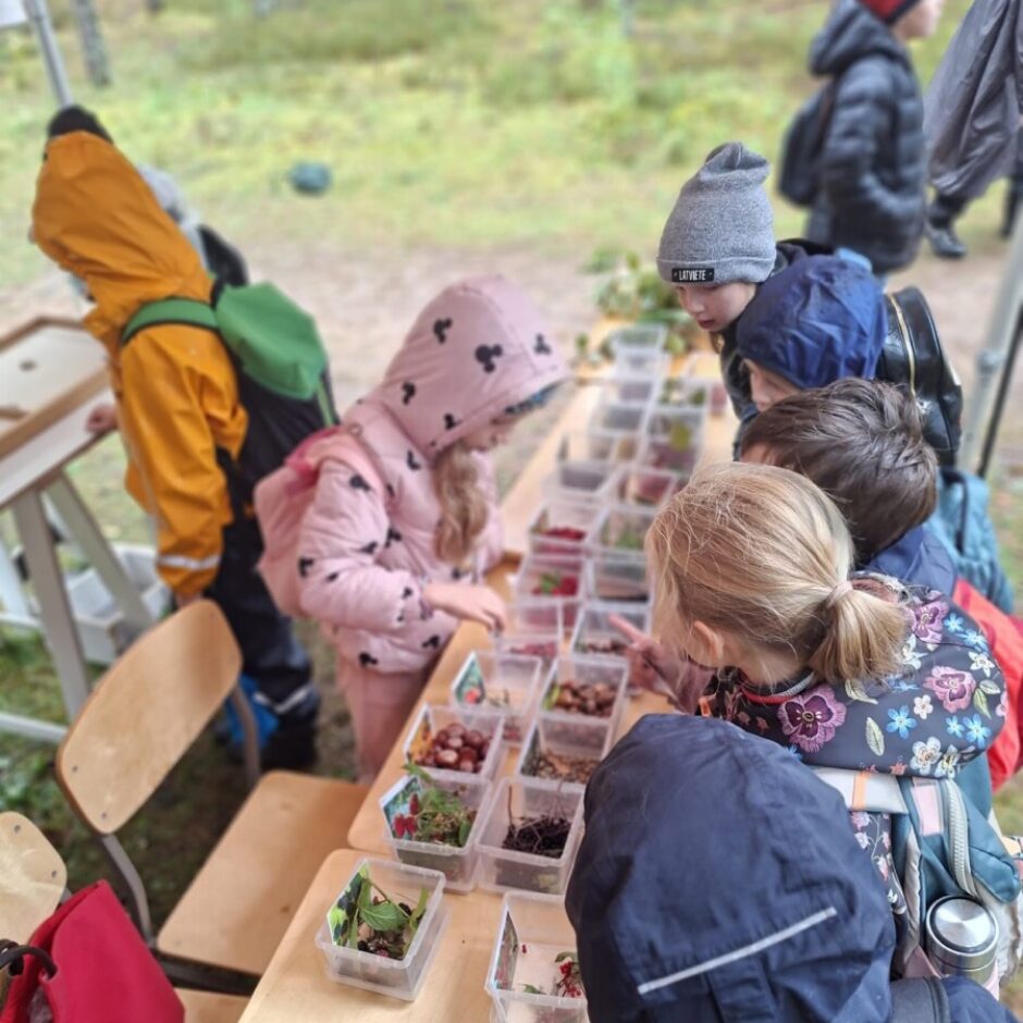 Bērni sapulcējušies ap galdu brīvā dabā, pētot dažādus dabas materiālus (ogas, lapas, riekstus, kaltētus augus) plastmasas kastītēs. Viens no bērniem valkā pelēku adītu cepuri ar uzrakstu 